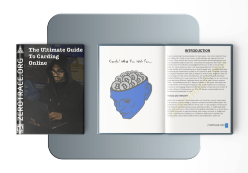 The Ultimate Guide To Carding Online: 2nd Edition